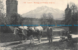 R116276 Luzern. Musegg Und Pilatus. Photoglob - Wereld