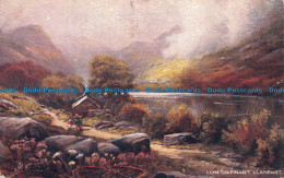 R115656 Llyn Crafinant. Llanrwst. Tuck. Oilette. 1906 - Wereld