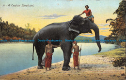 R116283 A Ceylon Elephant. No 37 - Wereld