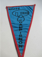 Fanion Souvenir/Rallye Champignon 1965/ La BONNEVILLE-Vernon 11-12 Septembre / CIF/1965          DFA88 - Drapeaux