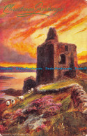 R115673 Tarbert Castle And Loch. Tuck. Oilette - Wereld