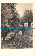 R116294 Old Postcard. Lake And Trees - Wereld