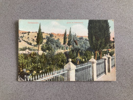 Gethsemane Jardin De Gethsemane Carte Postale Postcard - Israel