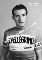 PHOTO CYCLISME REENFORCE GRAND QUALITÉ ( NO CARTE ), CARLO NICOLO TEAM SAN PELLEGRINO 1957 - Cycling