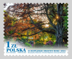 Poland 2024. European Tree Of The Year. Flora. Nature. MNH - Unused Stamps
