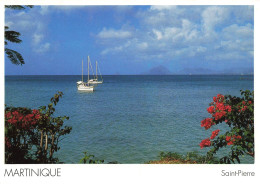 FRANCE - Martinique - Le Sud De La Martinique  - Saint Pierre - Colorisé - Carte Postae - Other & Unclassified