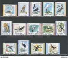 1970-74 Montserrat, Michel N. 230-42 + 316 - Uccelli - Serie Di 14 Valori - MNH** - Otros & Sin Clasificación