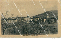 Bu491 Cartolina Prascorsano Panorama Provincia Di Torino Piemonte - Altri & Non Classificati