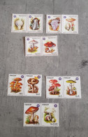 PARAGUAY 1984-1986 MUSHROOMS-FUNGI 2 SETS MNH - Pilze