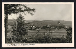 AK Seyde /Erzgeb., Ortsansicht Aus Der Ferne  - Sonstige & Ohne Zuordnung