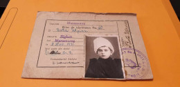 Romania Romanian Interbelic Photo And Document ID Lot Strajer Strajerie From Sighet Bicycles Beach Ensemble Foto Lot - Personnes Anonymes