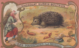 CHROMO CHOCOLAT GUERIN BOUTRON - LE HERISSON - SERIE LES MAMMIFERES - Guérin-Boutron
