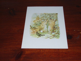 76517-          ILLUSTRATOR BEATRIX POTTER, 1866-1943, FROM THE TALE OF PETER, RABBIT - 1920 EDITION / UNUSED CARD - 1900-1949