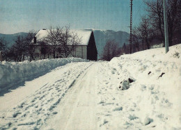 *CPM - 88 - Les VOSGES Sous Le Neige - Le Ballon De Servence Au Fond - Andere & Zonder Classificatie