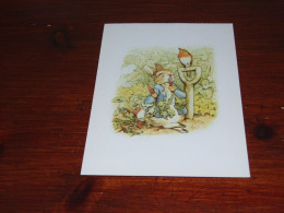 76518-          ILLUSTRATOR BEATRIX POTTER, 1866-1943, FROM THE TALE OF PETER, RABBIT - 1920 EDITION / UNUSED CARD - 1900-1949
