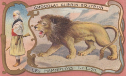 CHROMO CHOCOLAT GUERIN BOUTRON - LE LION - SERIE LES MAMMIFERES - Guérin-Boutron