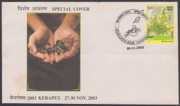 Inde India 2003 Special Cover Kerapex, Ayurveda, Ayurvedic Medicine, Medical, Pictorial Postmark - Brieven En Documenten