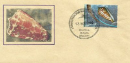URUGUAY. Le Cône Ruban ,escargot De Mer D'Uruguay, Sur LETTRE De Montevideo - Conchiglie