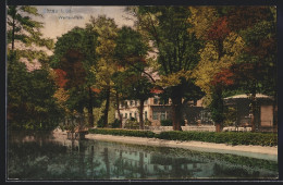 AK Zittau I. Sa., Ufer Im Weinau-Park  - Zittau