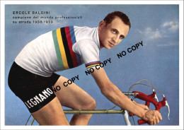PHOTO CYCLISME REENFORCE GRAND QUALITÉ ( NO CARTE ), ERCOLE BALDINI TEAM LEGNANO 1958 - Ciclismo