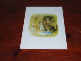 76524 ILLUSTRATOR BEATRIX POTTER, 1866-1943, FROM THE TALE OF TOM KITTEN - 1920 EDITION / UNUSED CARD - 1900-1949