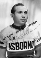 PHOTO CYCLISME REENFORCE GRAND QUALITÉ ( NO CARTE ), GIUSEPPE FALLARINI TEAM ASBORNO 1958 - Ciclismo