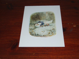 76527- ILLUSTRATOR BEATRIX POTTER, 1866-1943, FROM THE TALE OF JEMIMA PUDDLE DUCK - 1920 EDITION / UNUSED CARD - 1900-1949