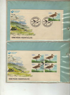 Iles Feroe - 1977 - Oiseaux Des Iles -  7  FDC - Islas Faeroes