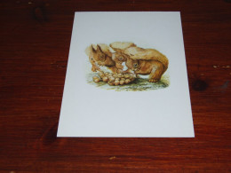 76531- ILLUSTRATOR BEATRIX POTTER, 1866-1943, FROM THE TALE OF SQUIRREL NUTKIN - 1920 EDITION / UNUSED CARD - 1900-1949