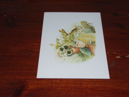 76532- ILLUSTRATOR BEATRIX POTTER, 1866-1943, FROM THE TALE OF PETER RABBIT - 1920 EDITION / UNUSED CARD - 1900-1949