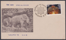 Inde India 1975 Special Cover Elephant Sculpture, Art, Elephants, Mahabalipuram, Pictorial Postmark - Storia Postale