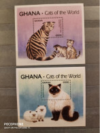 Ghana	Cats 14 - Ghana (1957-...)