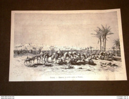 Keruan Nel 1881 Città Santa Della Tunisia - Vor 1900
