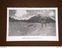 Pendici Del Vesuvio I Quadro Di Giuseppe De Nittis - Autres & Non Classés