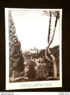 Il Castello Di Brau Nel 1931 Transilvania - Autres & Non Classés