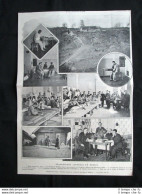 Prigionieri Giapponesi In Russia + Bois De Boulogne Stampa Del 1905 - Andere & Zonder Classificatie