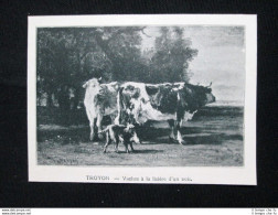 Troyon - Mucche Ai Margini Di Un Bosco Stampa Del 1905 - Autres & Non Classés