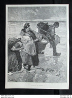 Ritorno Dalla Pesca - Da Un Quadro Di Hans Bartels Stampa Del 1903 - Otros & Sin Clasificación