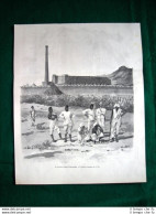 A Cassala Nel 1895 - Il Nuovo Forte Baratieri, Disegno Di Ed. Ximenes - Avant 1900