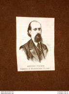 Onorevole O Deputato Nel 1875 Antonio Tolomei Di Montebelluno - Voor 1900