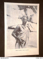Etiopia Propaganda Fascista Nobiltà Etiope Tipo Di Razziatore - Avant 1900