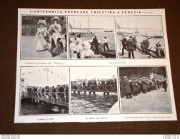 L'Università Popolare Triestina A Venezia Nel 1908 - Autres & Non Classés
