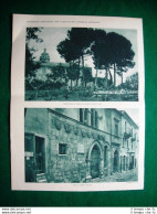 Nel 1931 Abruzzo Francavilla A Mare Convento Michettiano San Clemente Casauria - Otros & Sin Clasificación