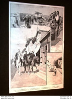 Accadimenti Di Edirne O Adrianopoli Nel 1903 Turchia + Alberto Pansa + Arezzo - Other & Unclassified