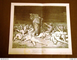 Incisione Gustave Dorè Del 1880 I Golosi E Giacco Dante's Inferno Engraving - Avant 1900
