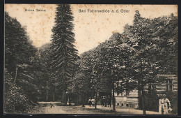 AK Bad Freienwalde, Gasthaus Grüne Tanne  - Bad Freienwalde