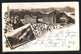 Vorläufer-Lithographie Rigi, 1895, Blick Auf Das Hotel, Schnurtobelbrücke  - Sonstige & Ohne Zuordnung