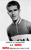 PHOTO CYCLISME REENFORCE GRAND QUALITÉ ( NO CARTE ), FEDERICO M. BAHAMONTES TEAM FAEMA 1958 - Ciclismo