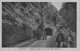 Bormio (Sondrio) - Galleria Lungo La Strada Dello Stelvio - Sondrio