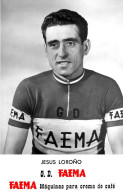 PHOTO CYCLISME REENFORCE GRAND QUALITÉ ( NO CARTE ), JESUS LOROÑO TEAM FAEMA 1958 - Cyclisme